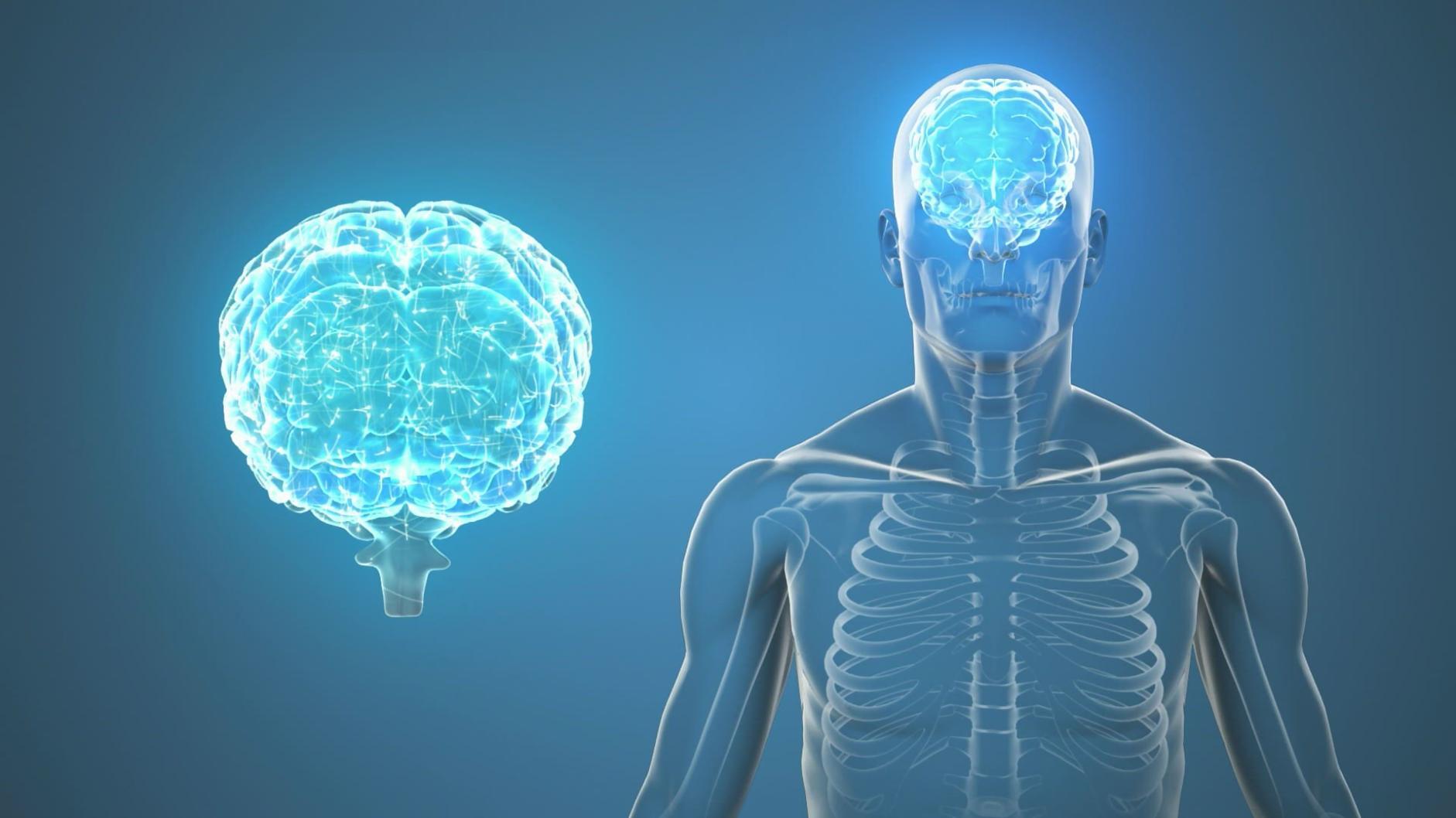 Praktische Anwendung von KI-Tools im rechtlichen Arbeitsalltag